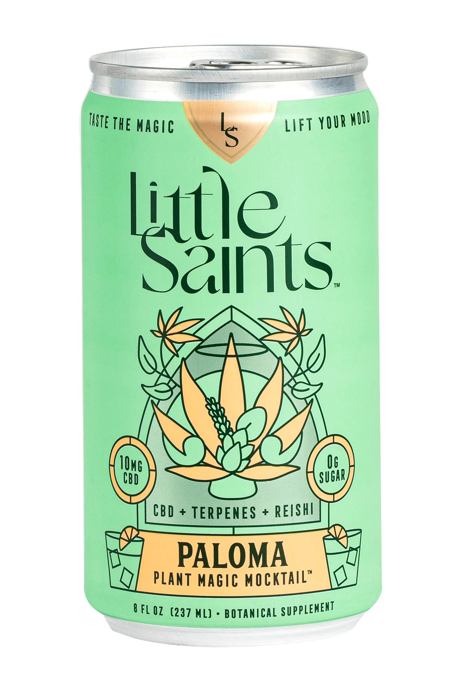 Little Saints Paloma 