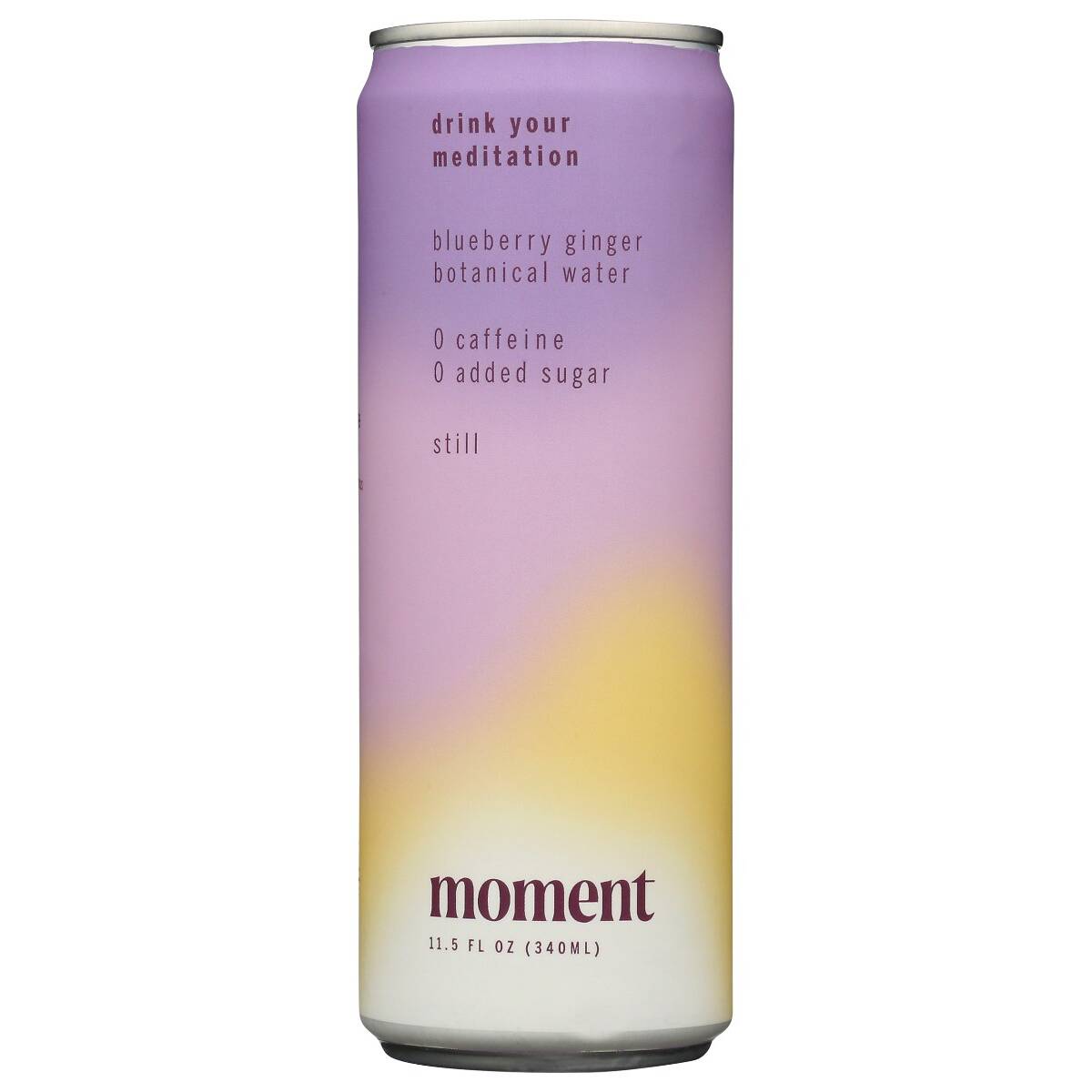 Moment Blueberry Ginger Still Botanical Water